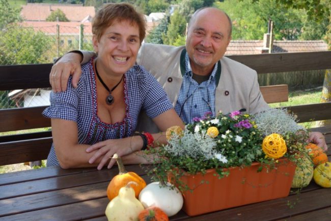 Cornelia Mayer Zitherspielerin in Wien - Lesung mit MaxRo